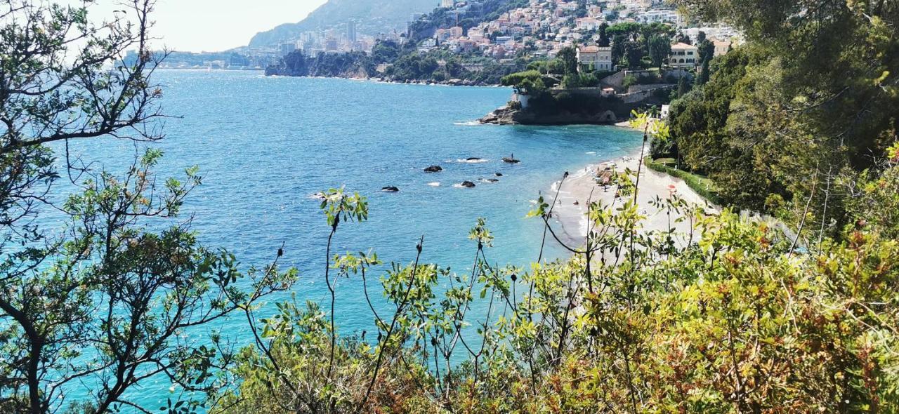 Vue Magnifique, Piscine Privee Chauffee Et Sauna A 10min De Monaco Apartment Roquebrune-Cap-Martin
